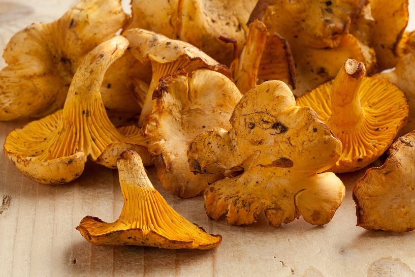 Tas de girolles jaunes fraîches à préparer en plat par Frans Rombout