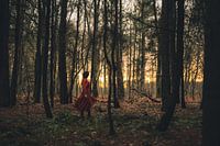 Der goldene Wald