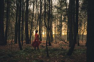 La forêt d'or