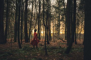 Het gouden bos van Imagination by Mieke