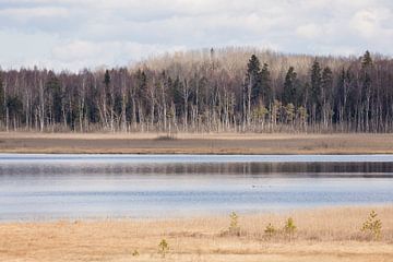 Natuur | Bossen en meren in Estland 1 van Servan Ott