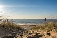 Zeezicht van af de duinen