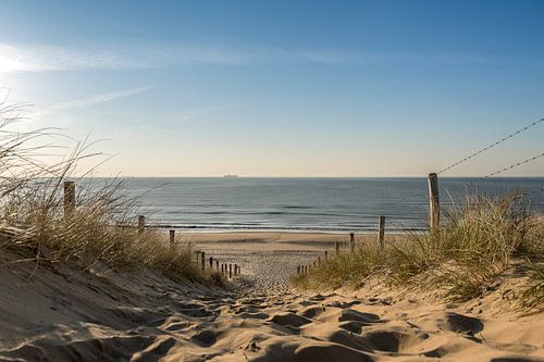 Sea view from down the dunes