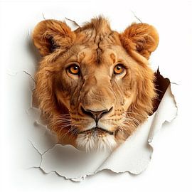 Lion du mur sur TheXclusive Art