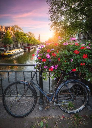 Amsterdamse Gracht met Bloem en Fiets