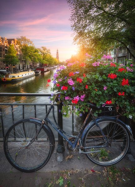 Amsterdam Canal with Flower and Bicycle by Niels Dam