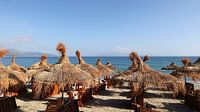 Plage avec parasols en chaume