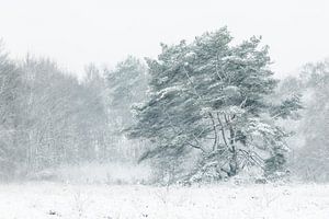 Tree in snow-drift von Karla Leeftink