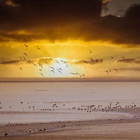 Sonnenuntergang Wattenmeer von Wolbert Erich