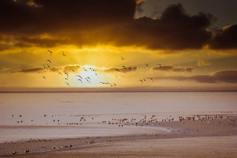 Zonsondergang waddenzee van Wolbert Erich