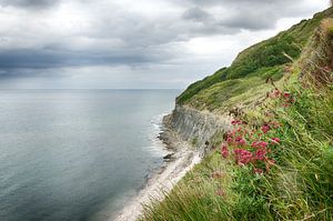 Die Küste der Normandie von Mark Bolijn