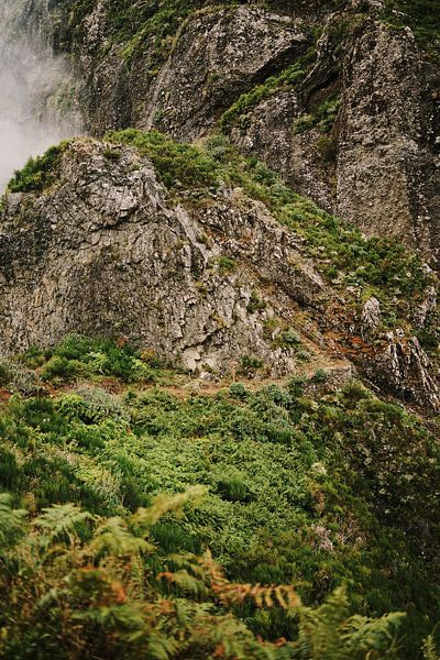 Höchster Berg auf Madeira von Dian Schuurkamp