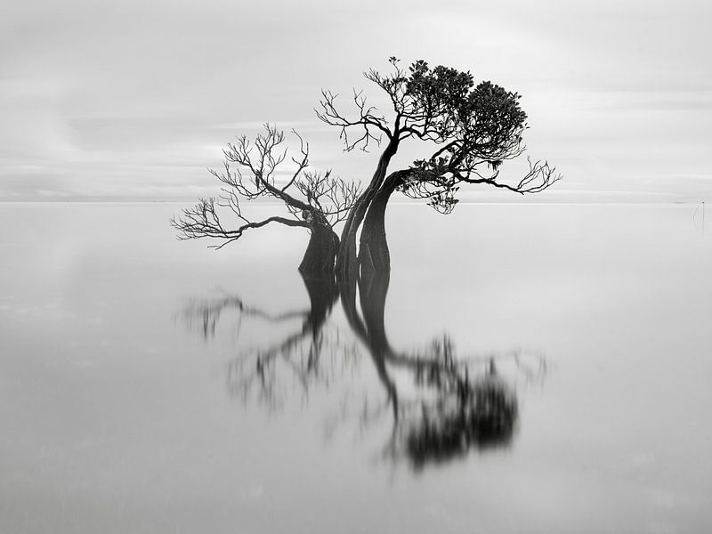 Dancing the Jig by Robert Bolton