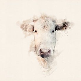 Vache blanche sur Studio Nooks