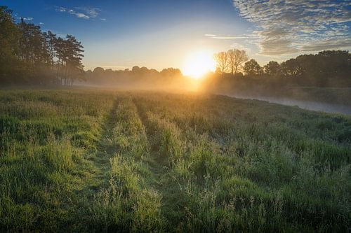 Zonsopgang boven een weide aan de rivier de Ems