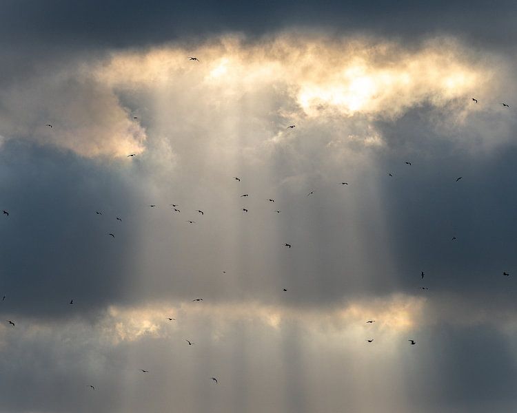 Die Jakobsleitern von Wennekes Photography