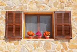 Finca Window