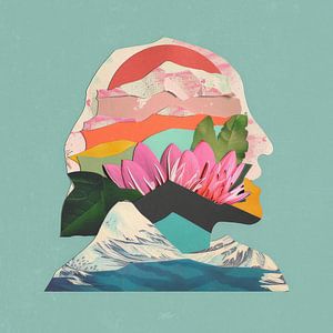 Roam your Head