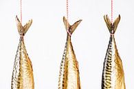 Makrelen staarten hangend tegen een witte achtergrond van MICHEL WETTSTEIN thumbnail