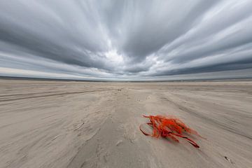 Dynamisch Terschelling van Foto van Anno