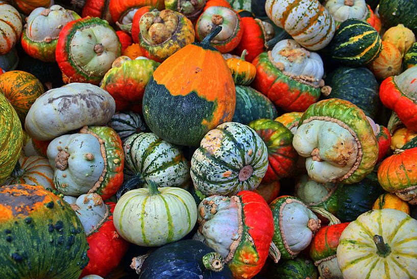 kleurrijke diversiteit van Edgar Schermaul