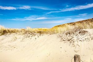Landschaft