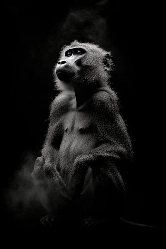 Singe
