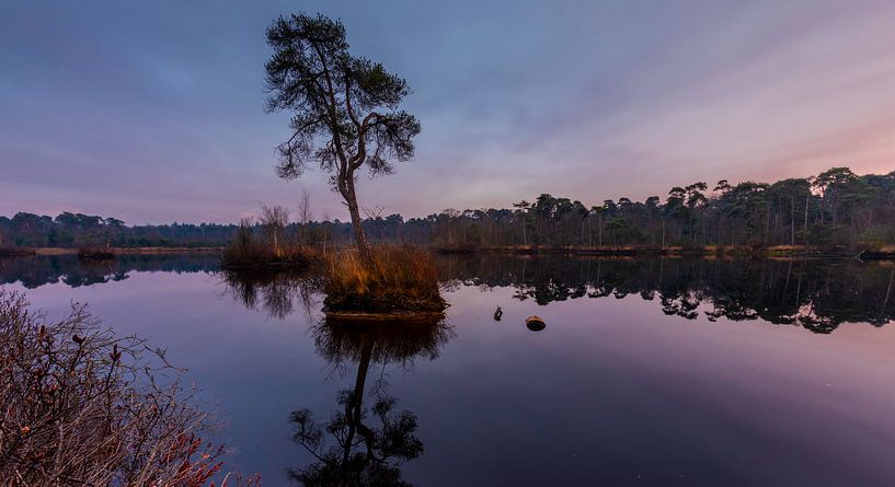 Groot Goorven, Oisterwijk by Patrick Rosenthal