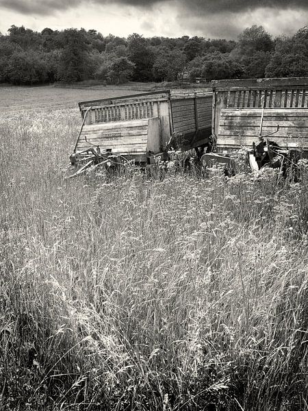 BAUERLICHE ART van Fons Bitter