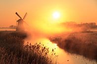 Oranje zonsopkomst van Sander van der Werf thumbnail