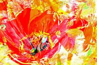 Tulip