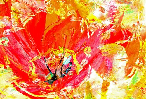 Tulip