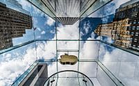New York Apple store