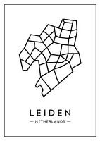 Leiden van boven – abstract lijnenspel met karakter