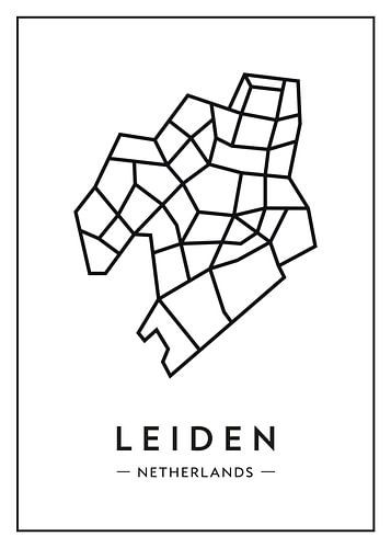 Leiden van boven – abstract lijnenspel met karakter