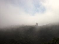 Nebel in Tikal