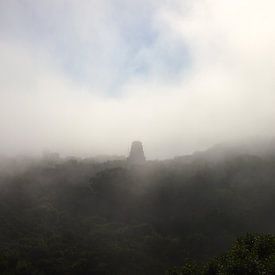 Nebel in Tikal by Patrick Hundt