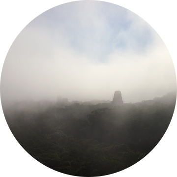 Nebel in Tikal van Patrick Hundt
