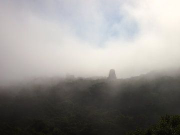 Nebel in Tikal van Patrick Hundt