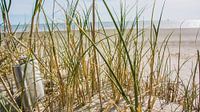 Dagje Strand