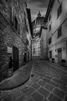 Florence