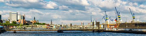 Panorama haven van Hamburg met aanlegsteigers, droogdokken en kranen