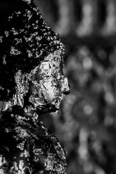 Buddha in black and white by Laurien Blom