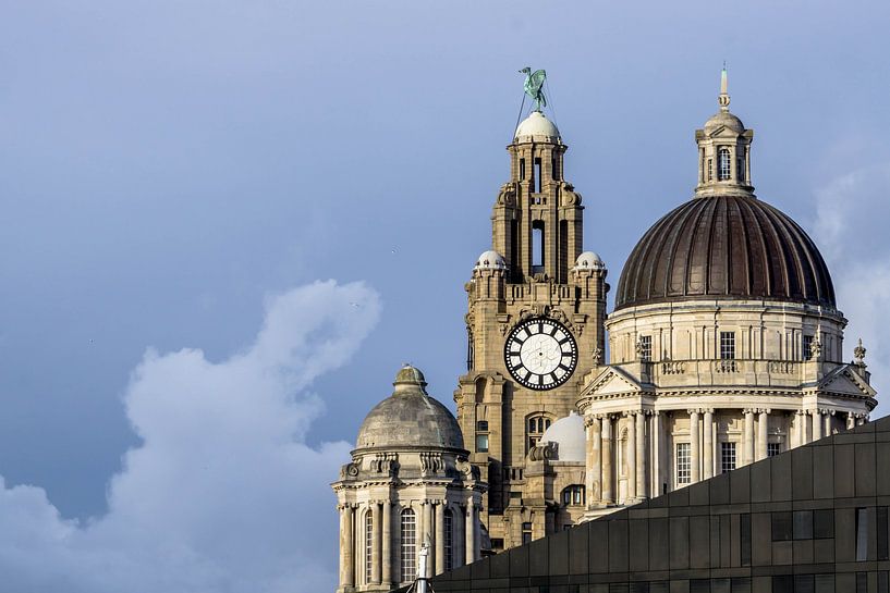 Liverpool by Hello Pompoyo