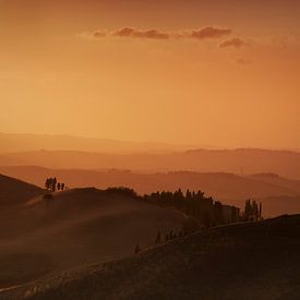 A Tuscan Evening by Niels den Otter
