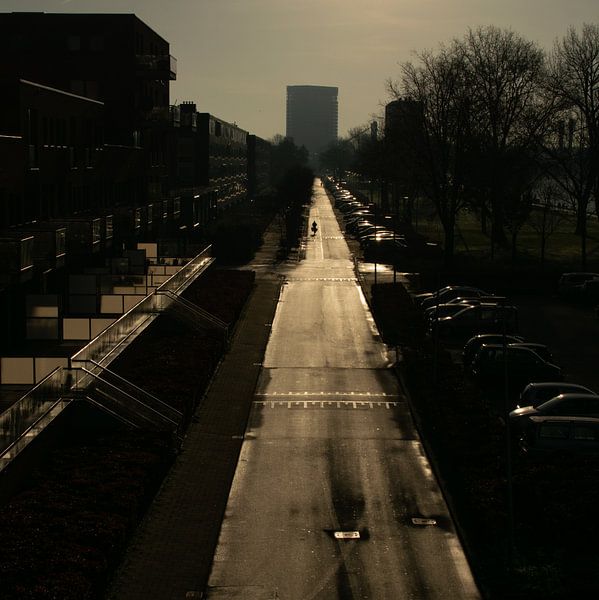 Habe die Straße ganz für mich allein in Utrecht Süd von Bart van Lier