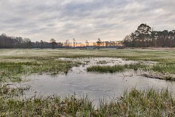 De dag goed beginnen van Henrico Fotografie