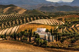 Andalucia
