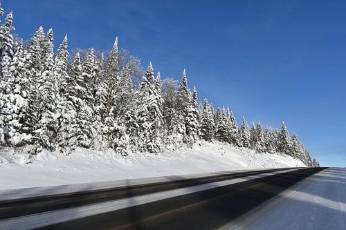 Eine Landstraße im Winter