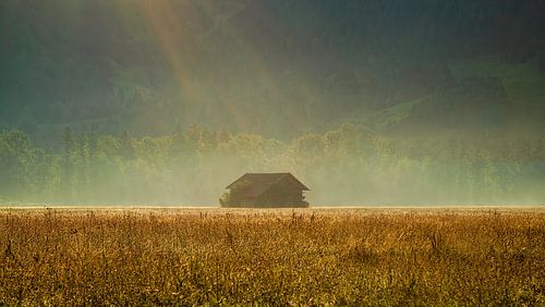 Shed in morning light